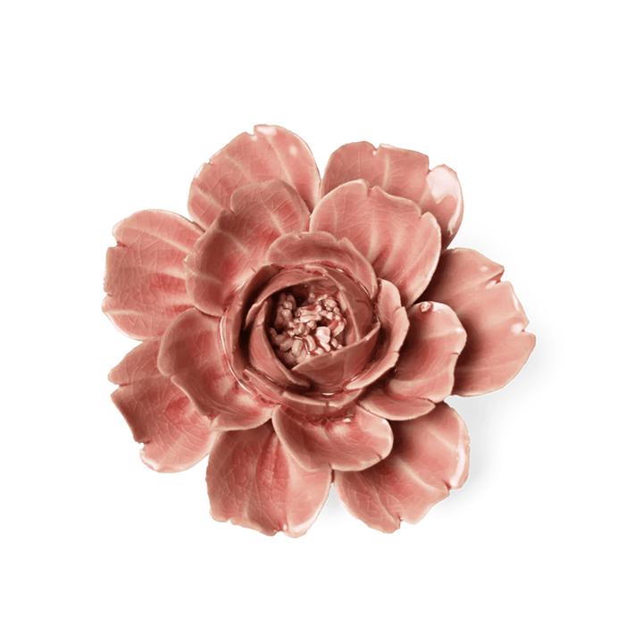 CHIVE CERAMICS - KERMIK VÆGBLOMST - CHAMPAGNE PINK ROSE