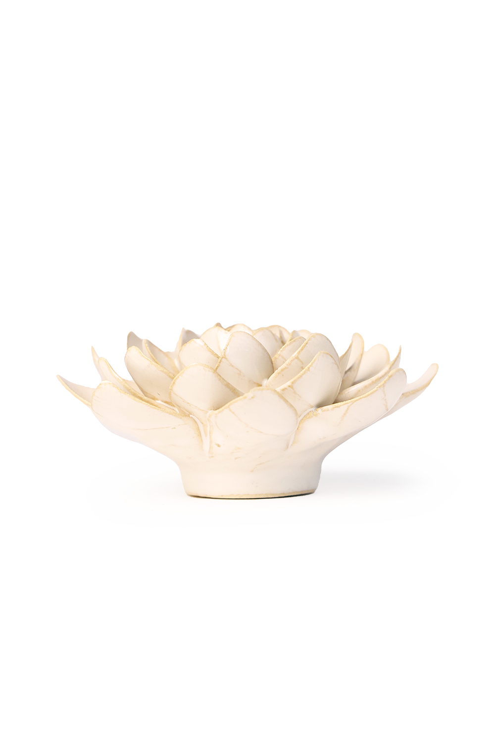 CHIVE CERAMICS - KERAMISK VÆGBLOMST - ELFENBENSHVID VINTERGÆK